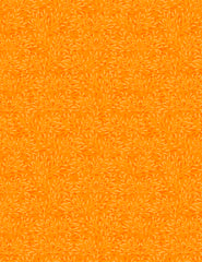 Whimsy Orange