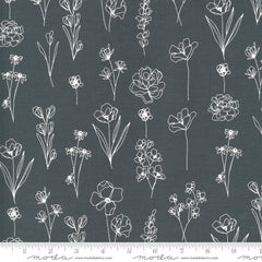 Illustrations Floral Doodle Graphite 11505 24