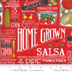 Homegrown Salsa Recipe Tomato 19970 12