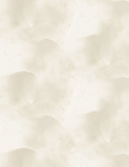 Watercolor Texture Ivory 108