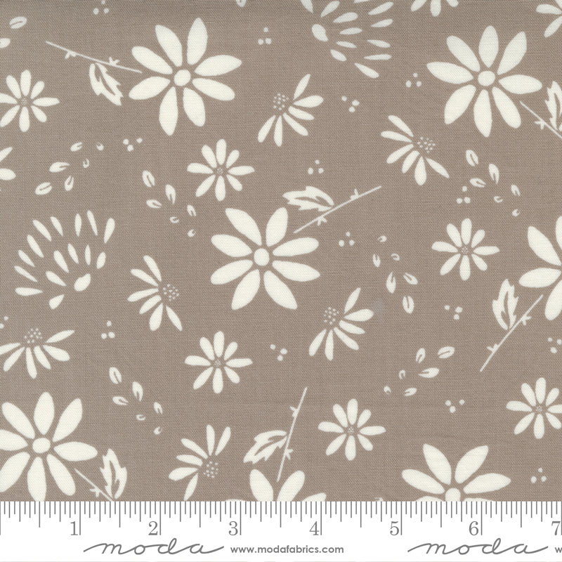 Seashore Drive Bliss Floral Abstract Floral Daisy Pebble