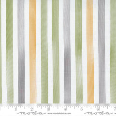 Timber Stripe White Multi