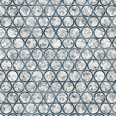 Equanimity Circles Light Gray Blue 5902-73