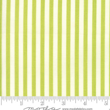 Essentially Yours Stripe Chartreuse 8652 72