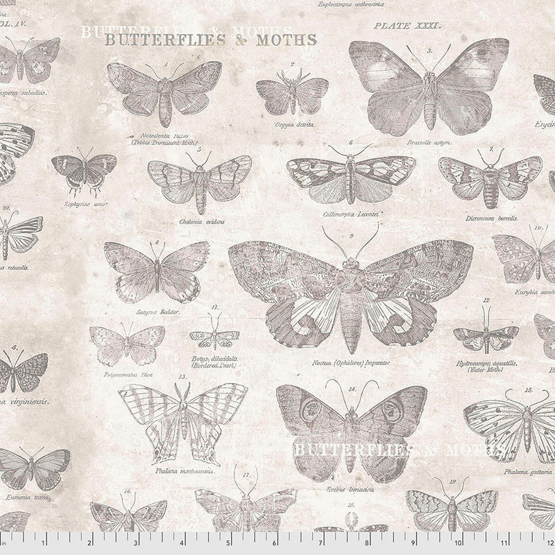 Monochrome Butterflies Parchment