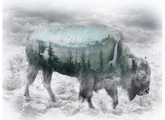 Call of the Wild Bison Panel Fog T4858-483