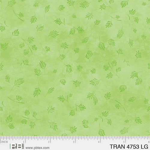 Tranquility Light Green TRAN4753-LG