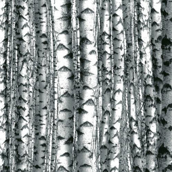 Landscapes Birch Trees 37113A-X