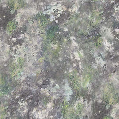Moss & Rocks Texture Gray 10141-970